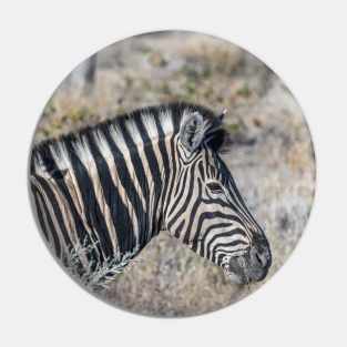 Namibia. Etosha National Park. Zebra. Pin