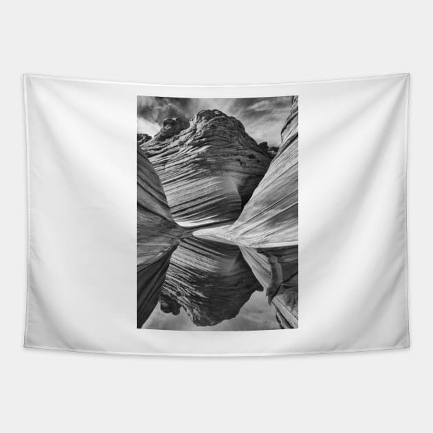 The Wave with Reflection B+W Tapestry by jforno