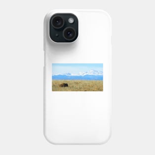 Lone Buffalo watching the Rocky Mountains Phone Case