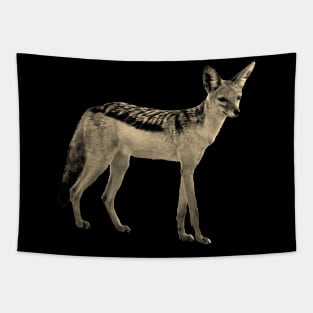 Jackal - Wilddog - Dog - Wildlife - Africa Tapestry