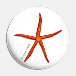 Velvety Sea Star Pin