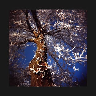 Lomography film photo of a frosty tree against a clear blue sky. T-Shirt