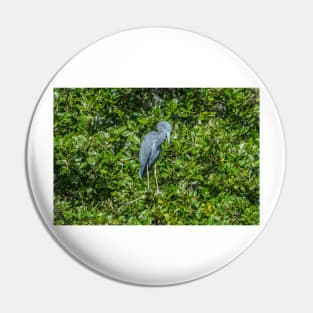 Little Blue Heron Pin