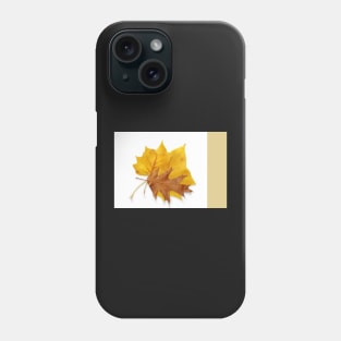 Autumn Leaves Phone Case