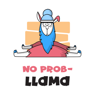 No probllama T-Shirt