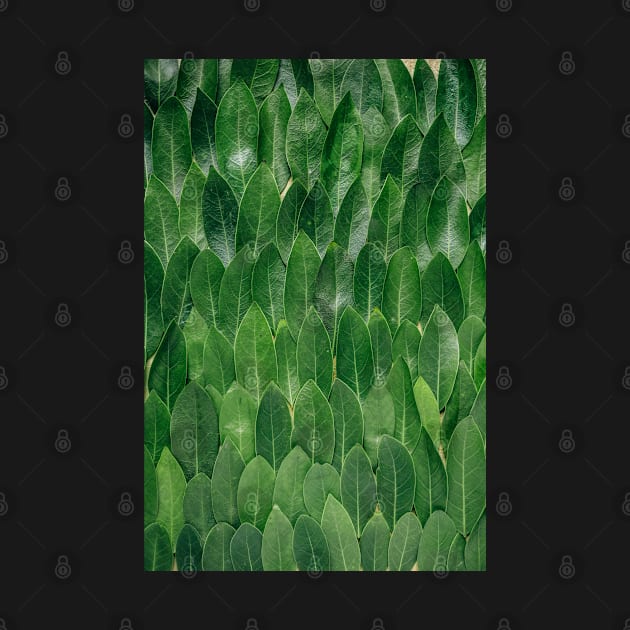 Green Leaf | Photography | Pattern by UrbanBlazeStudio