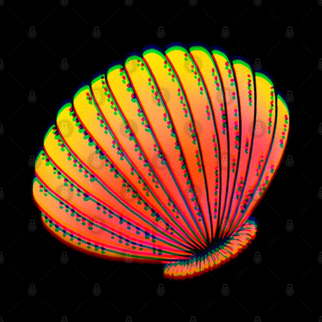 Orange Sea Shell by ROLLIE MC SCROLLIE