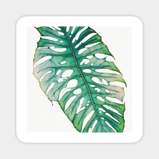 monstera leaf for the plant lovers Magnet