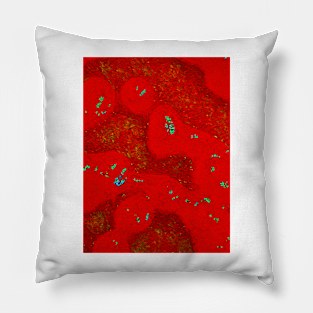 Tomato Flow Pillow