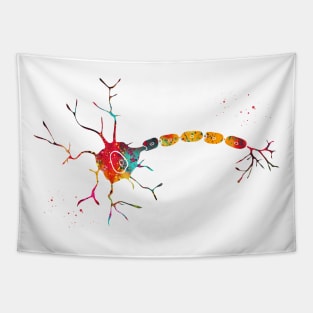 Anatomy of a typical human neuron Tapestry