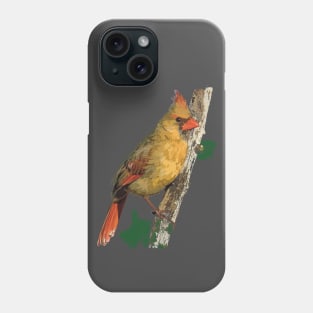 Female Northern Cardinal or Redbird Phone Case