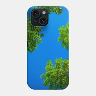 sky Phone Case