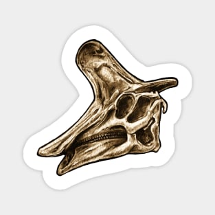 Dinosaur Skull Lambeosaurus Magnet