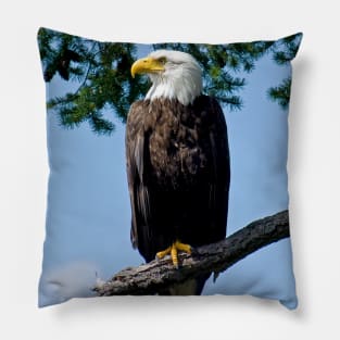 Majestic Bald Eagle Pillow