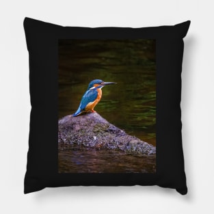 Kingfisher Pillow