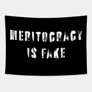 Meritocracy Is Fake Tapestry