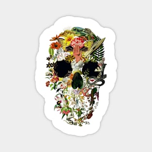 Eden Skull Magnet