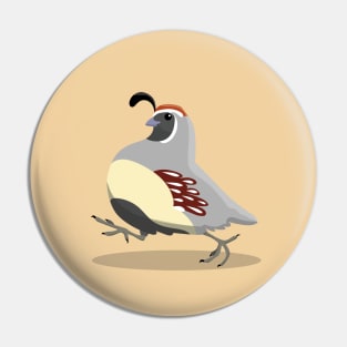 Gambell's quail Pin