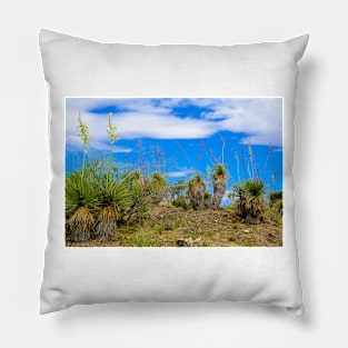 Living Desert Pillow