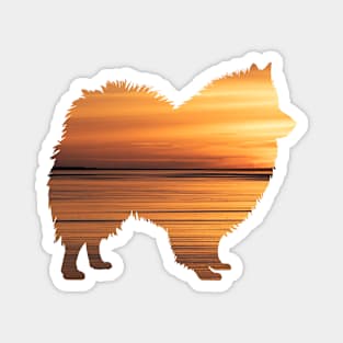 Samoyed Sunset Magnet