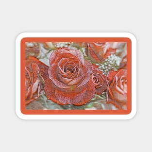 Roses No.1 Magnet