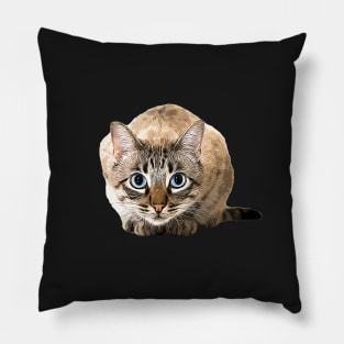 Bengal Cat Snow Mink Beauty Pillow