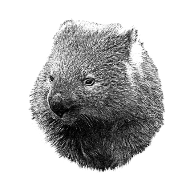 Wombat by Guardi