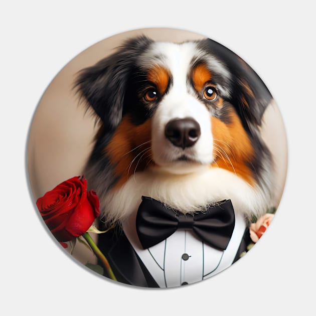 Australian shepherd dog in tuxedo with rose Pin by nicecorgi