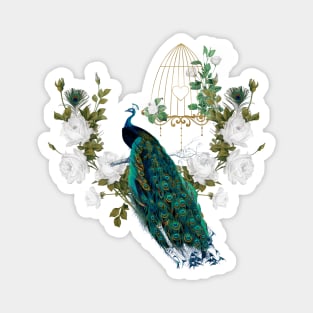 Wonderful peacock, vintage Magnet