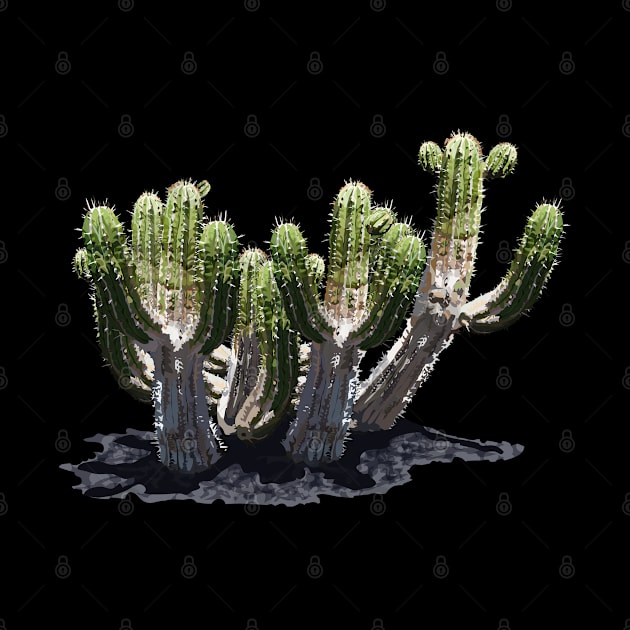 Desert Cactus by NerdsbyLeo