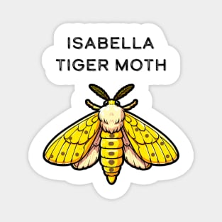 Isabella Tiger Moth Magnet