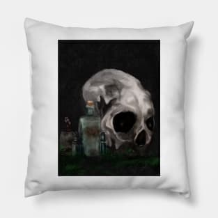 Dark Academia Aesthetic Skull  Apothecary bottles Watercolor Painting Pillow
