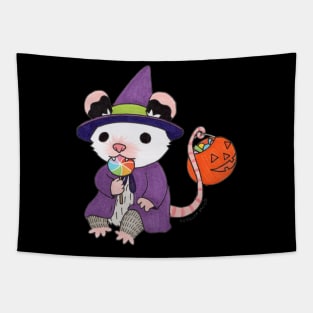 Witch Possum Tapestry