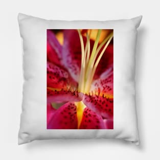 Pink Lily Lilium Herbaceous Flowering Plants Pillow