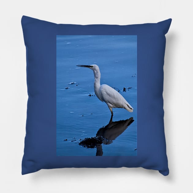 Little Egret Pillow by Violaman