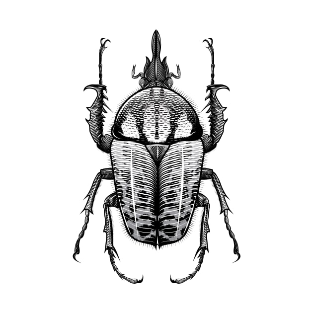 Goliath Beetle by TattooTshirt