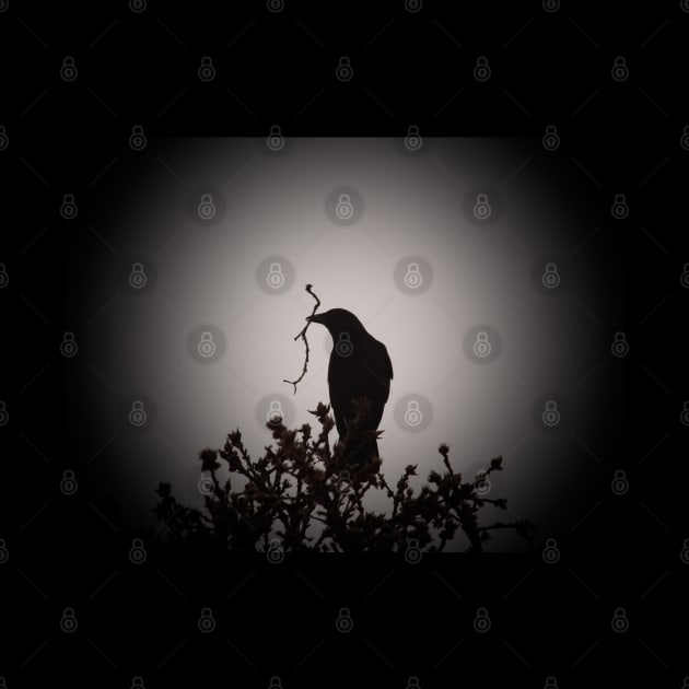 Crow silhouette by SandiLin