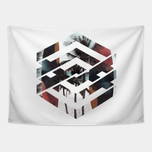 Surf Geometric Tapestry