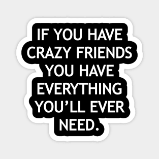 If you have crazy friends you have everything you’ll ever need Magnet