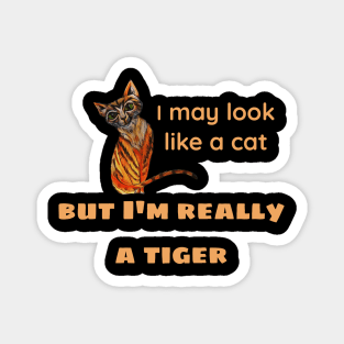 I may look like a cat, but I'm really a tiger Magnet