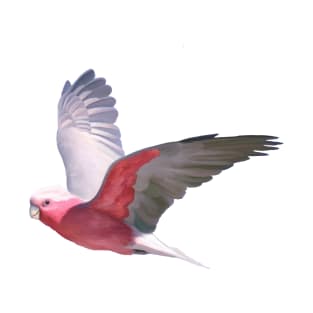 Cheeky galah, Beautiful galah, pink and grey parrot, flying galah with a cheeky grin. T-Shirt