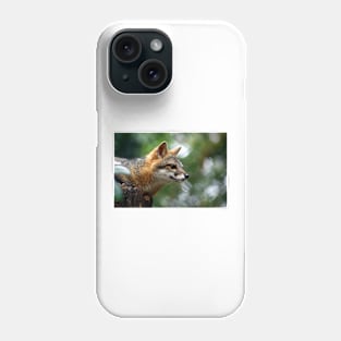 contemplate Phone Case