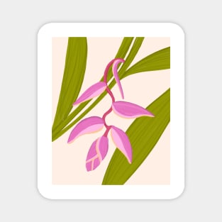 Tropical Pink Flower Hawaii Heliconia Magnet