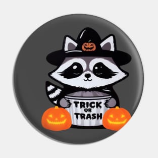 Raccoon Trick or Trash Pin