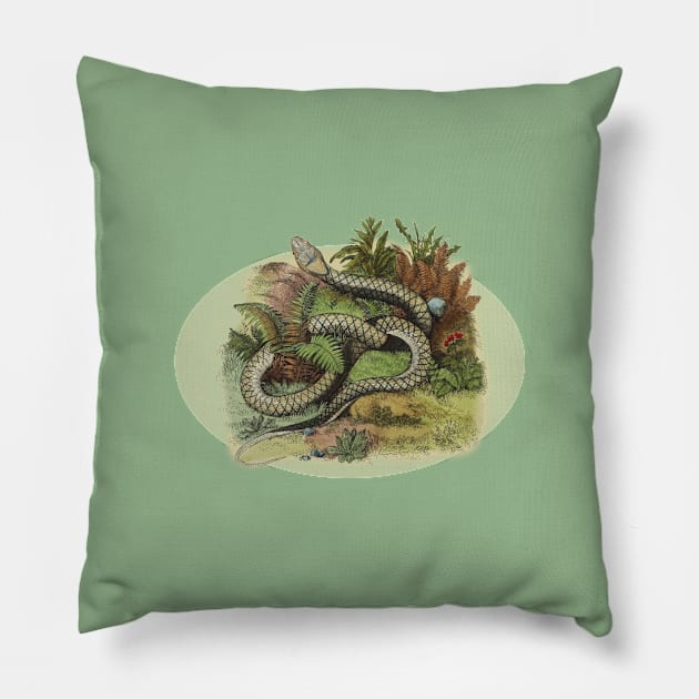 SNAKE ILLUSTRATION Pillow by Biophilia