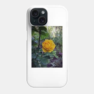 yellow rose Phone Case