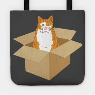 Orange Tabby Cat In A Box Tote