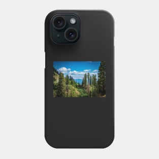 Vista in Lassen Volcanic National Park Phone Case