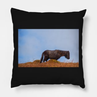 Wild Welsh Pony Pillow