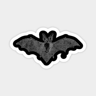 Vintage Bat Magnet